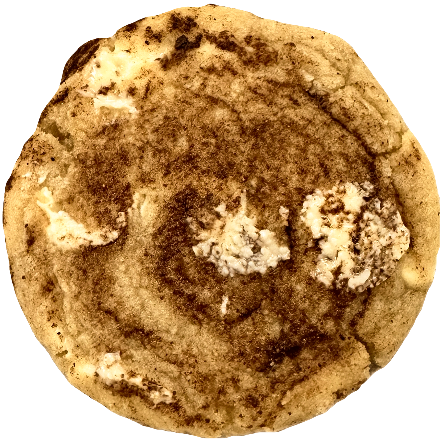 The Cinnamon Bun