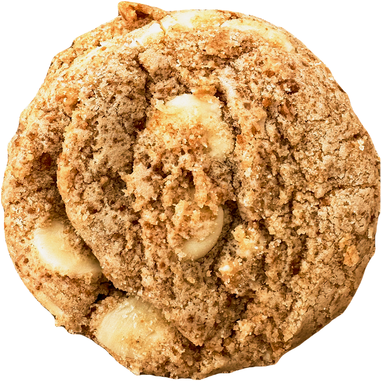Coconut Eclipse