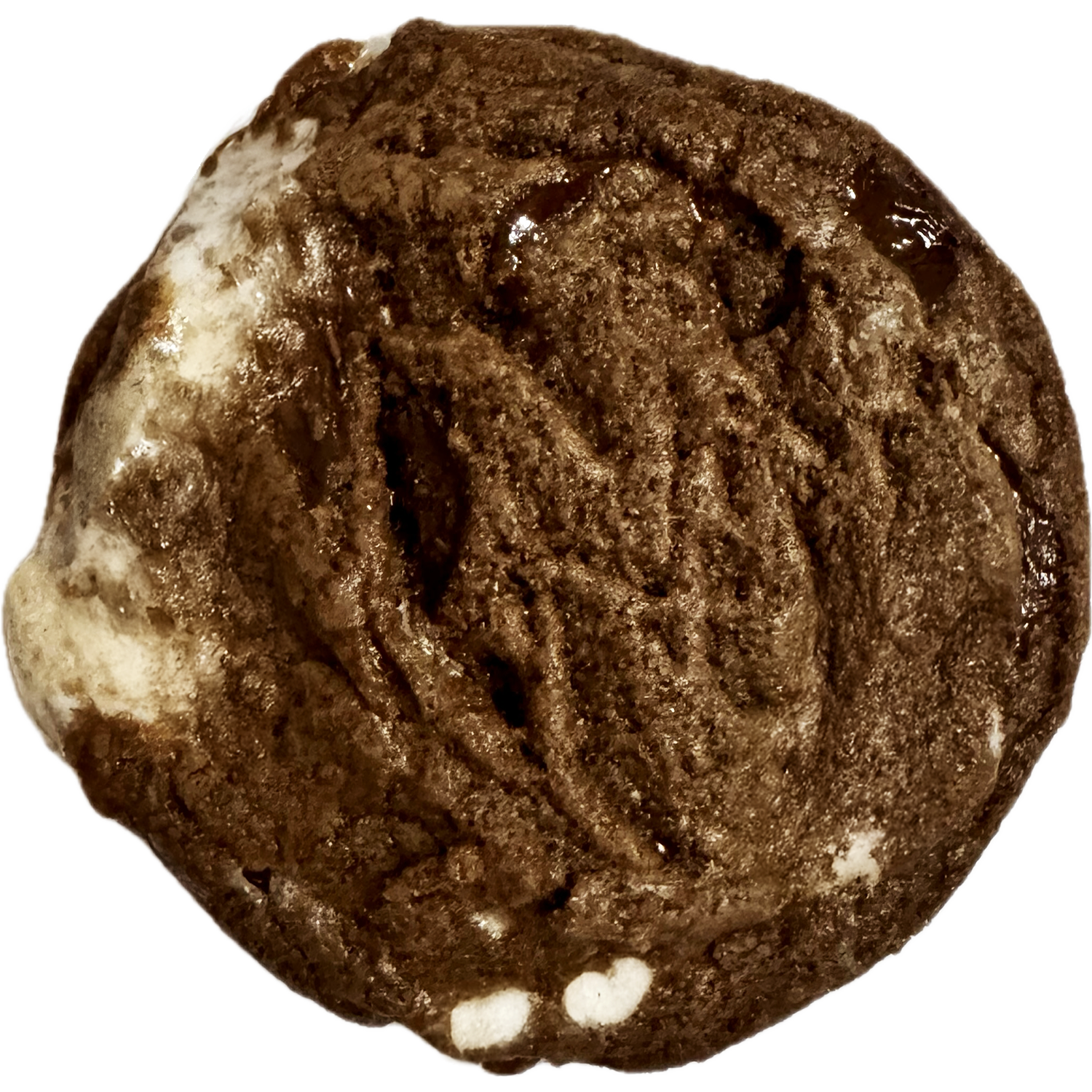 The Hot Chocolate