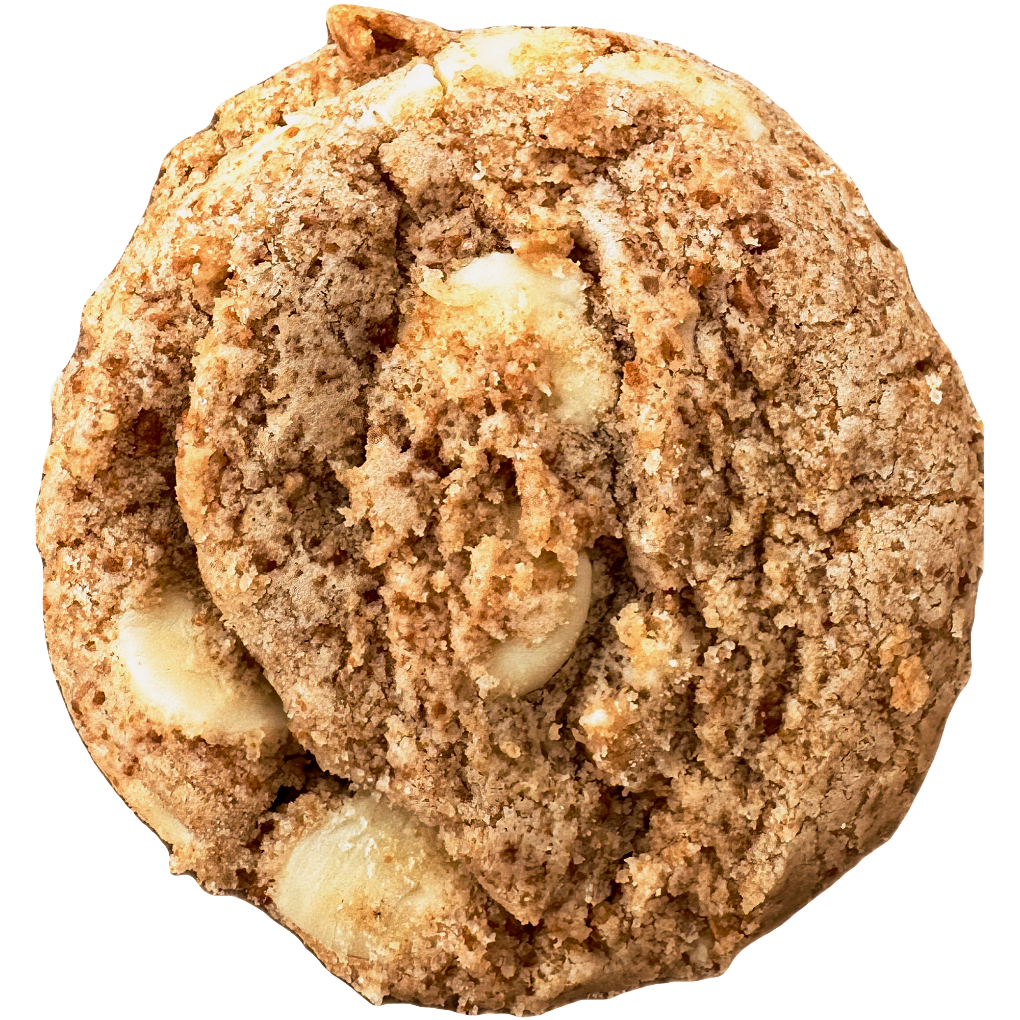 Biscoff White Chocolate